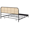 Amherst Eastern King, Queen, Full, & Twin Bed White & Black
