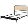 Amherst Eastern King, Queen, Full, & Twin Bed White & Black