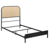 Amherst Eastern King, Queen, Full, & Twin Bed White & Black