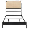 Amherst Eastern King, Queen, Full, & Twin Bed White & Black