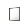 Denver Mirror