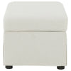 Winter Storage Ottoman