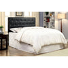 Galen Twin Headboard