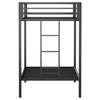 Alevera Bunk Bed