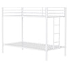Alevera Bunk Bed