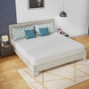 Coreopsis 10" E.King Memory Foam Wave Comfort