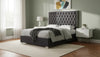 Lexi Grey Velvet Full Bed