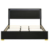 Marceline Panel Bed with LED Lighting