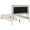 Caraway Panel Bed with LED Lighting