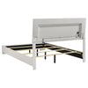 Felicity Panel Bed with LED Lighting