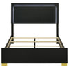Marceline Panel Bed with LED Lighting