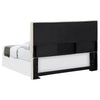 Pirro Headboard