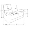Navarro Reclining Loveseat
