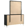 Lucia Dresser with Mirror
