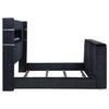 Tisdall Wingback TV Bed with Flame Visualizer
