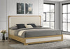 Hyland Panel Bed with LED Lighting
