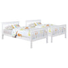 Chapman Bunk Bed with Mattress