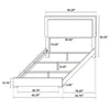 Marceline Panel Bed with LED Lighting