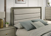 Rainier Queen Bedroom Set