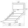 Marceline Panel Bed with LED Lighting