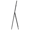 Windrose Standing Mirror with LED Lighting