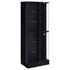 Cabra Curio Cabinet with LED Lighting