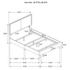 Boyd Panel Bed