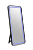 Katlyn Floor Mirror