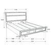 Miranda Panel Platform Storage Bed