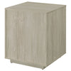 Loomis File Cabinet