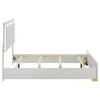 Marceline Panel Bed with LED Lighting