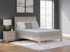 Terra Sleep Medium Mattress