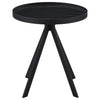 Briggs End Table