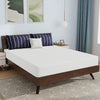 Nasturtium 8" Queen Bamboo Charcoal Infused Memory Foam