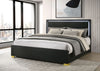 Marceline Panel Bed with LED Lighting