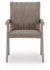 Cliff Trails Outdoor Arm Chair (Set of 2)