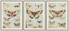 Jossletts Wall Art (Set of 3)