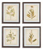 Dyani Wall Art (Set of 4) image