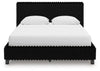 Zuraleus Bed
