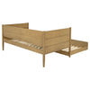 Calinda Daybed with Trundle
