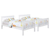 Chapman Bunk Beds