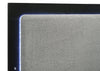 Caraway Panel Bed with LED Lighting