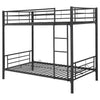 Hayward Bunk Beds