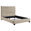 Chloe Panel Bed
