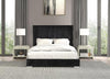 Cadwell E.King, Queen, & Full Bed White, Gray, & Black