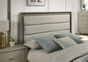 Rainier Queen Bedroom Set