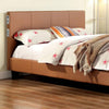 Evans E.King & Cal.King Bed Espressso, White, & Camel