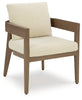 Serene Bay Outdoor Dining Arm Chair with Cushion (Set of 2)