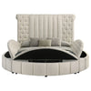 Sonya Panel Floor Storage Bed