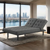 Napervill Futon Sofa